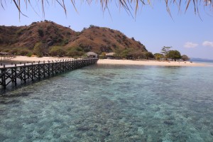 The water just so clear then we can see fishes and corals in it at Kanawa Island